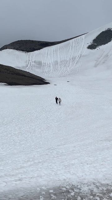 У вулканов Камчатки. Июнь 2025