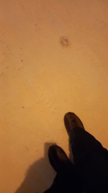 обычный зимний день