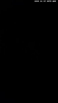 2025 11 27 ФОТО ДНЯ 4K.mp4