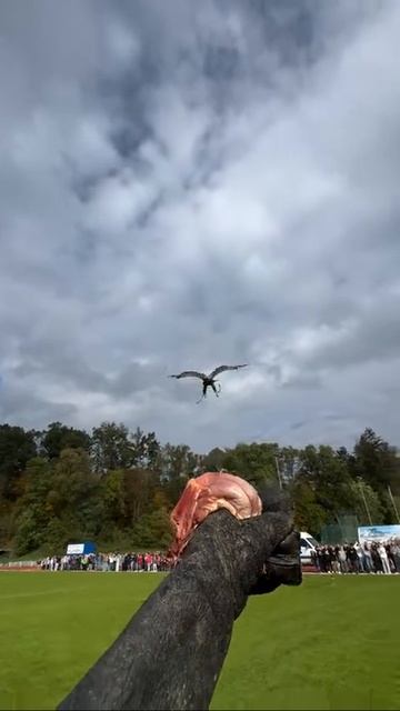 Выпендрёжник