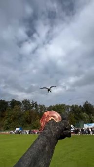 Выпендрёжник