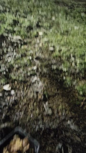 15 декабря в Краснодаре первый снег!