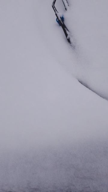 Наконец то Лада Веста укрылась в шубку зимой!)