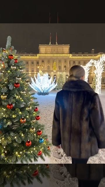 Зимний Петербург.mp4