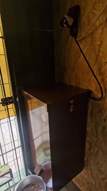 Автоматическая кормушка Feed-Box.(отзыв)