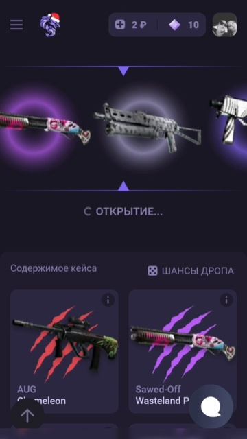 открыл кейс кс 2