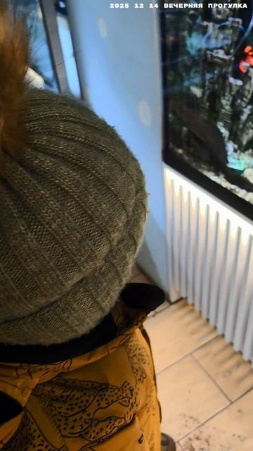 2025 12 14 ВЕЧЕРНЯЯ ПРОГУЛКА HD.mp4