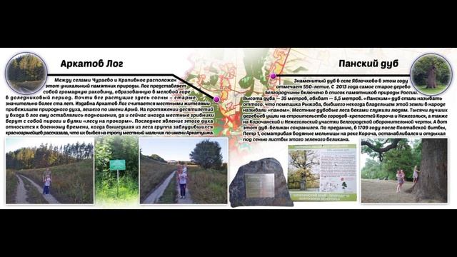 Видеовизитка Нечаевой Дарьи