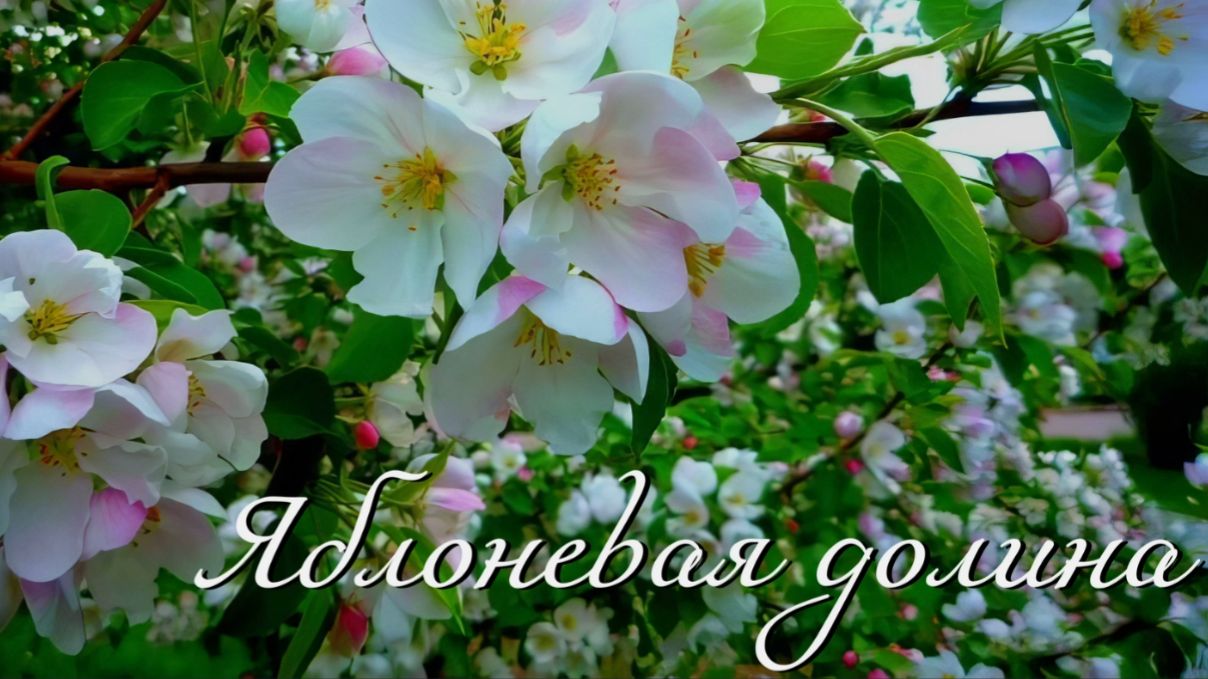 КРЫМ. ЯБЛОНЕВАЯ ДОЛИНА.