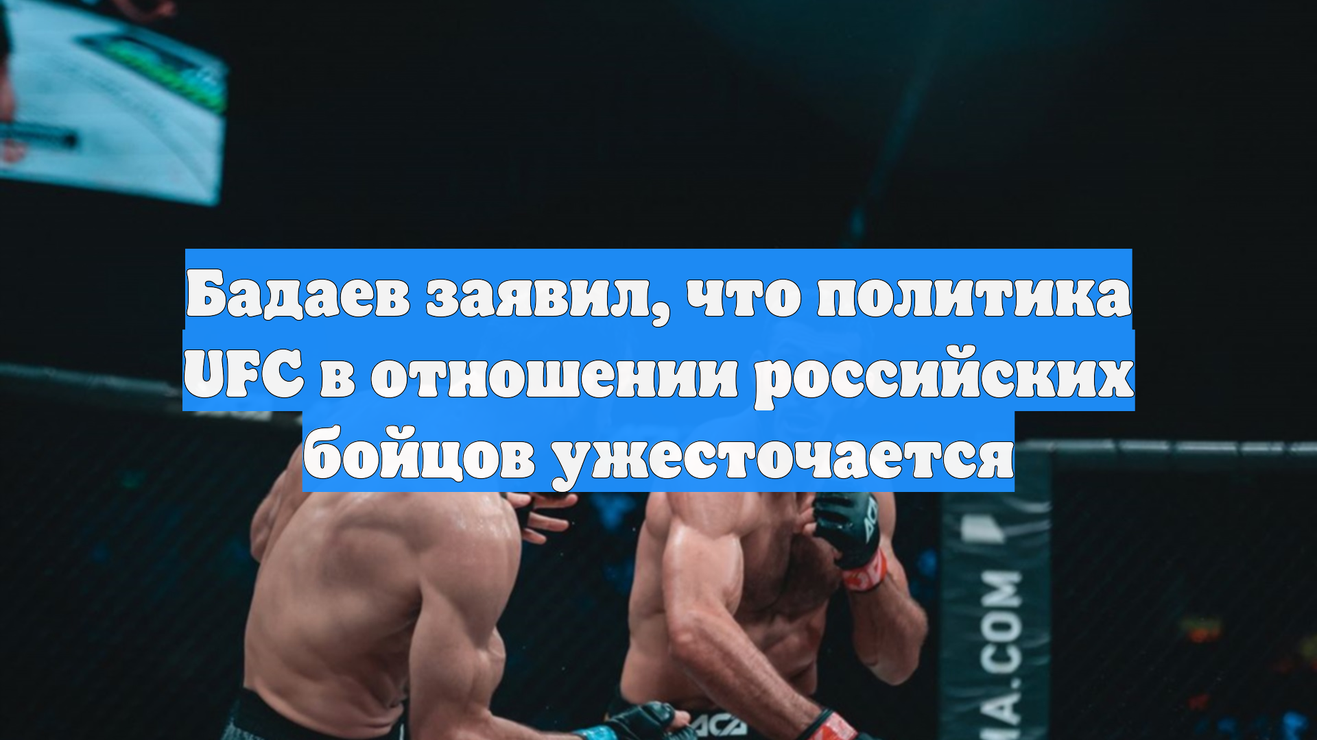Бадаев заявил, что политика UFC в отношении российских бойцов ужесточается