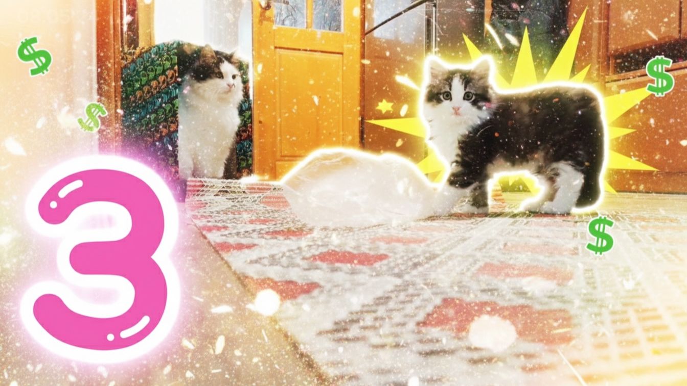 Кот Лекс и друзья || Серия 3 - Рост хулигана: путь от котёнка до подростка