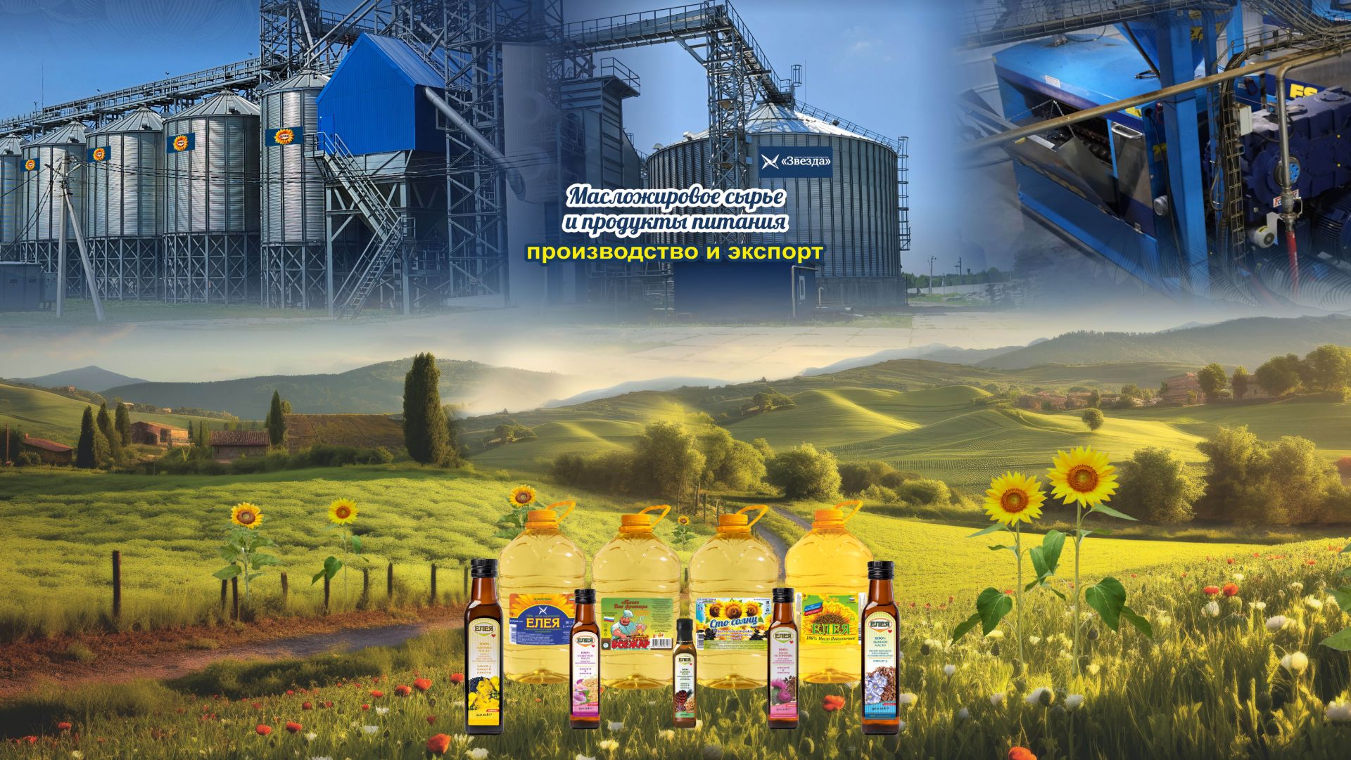 Export-manufactur 2025