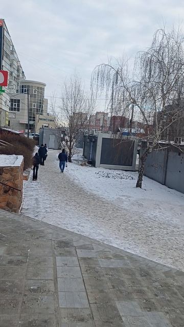 Video.Guru_20251216_085324600