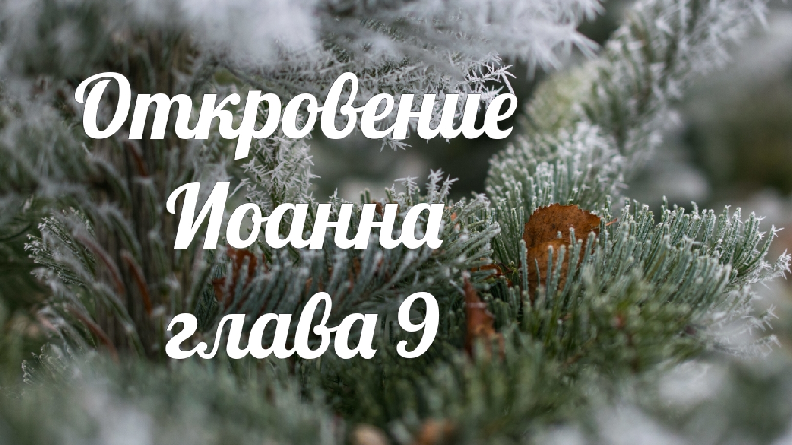 Откровение Иоанна глава 9