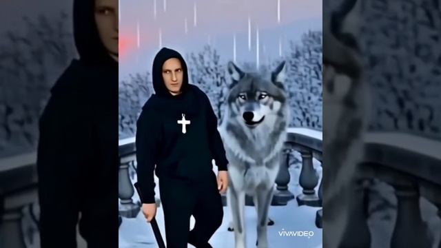 волчья далина