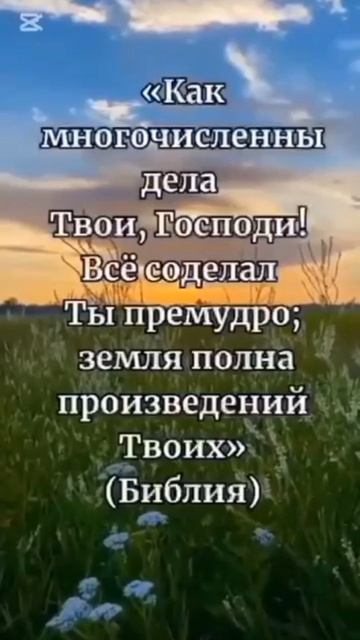 YouCut_20251216_081253987.mp4