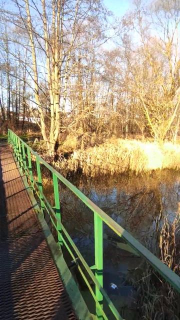 19 ноября 2025