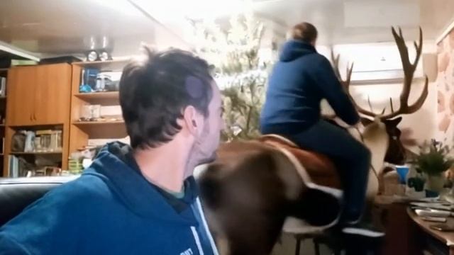 Дядя Леша, катается на олене