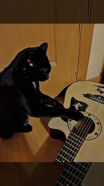 фото оживает. вот результат