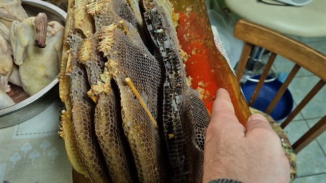 Пластиковая колода, любительское пчеловодство, естественное пчеловодство, жбан, бутыль, нуклеус джин