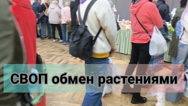 Фестиваль комнатных растений в Санкт-Петербурге ФЛОРА МАРКЕТ
