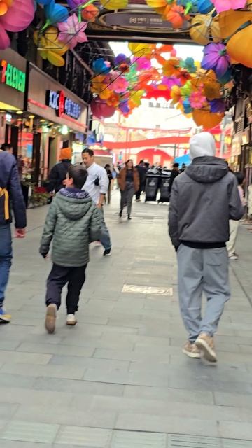 Сад Юнань шанхай