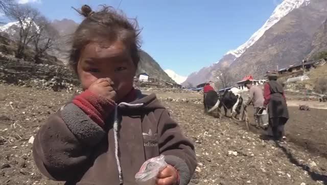 Жизнь людей в современных Гималаях.