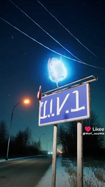 пьяный ёжик