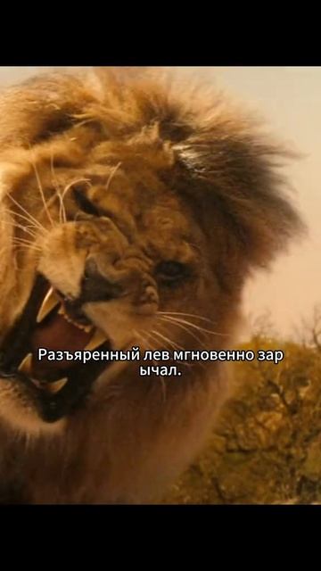 Краткий пересказ фильма