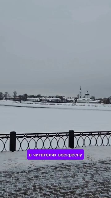 Россия г.Тверь 24.01.26 9АМ-15С  День чиновника  Андрей Дементьев