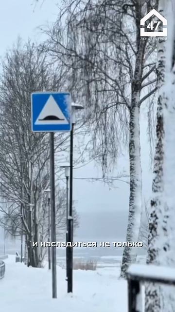 Дорогие наши друзья и клиенты! Группа компаний ЛенОблСтрой 47 поздравляет вас с Новым годом!