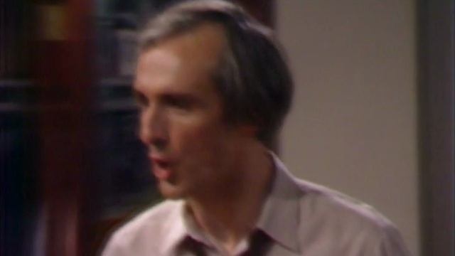 Family Ties 1x22 Elyse dArc