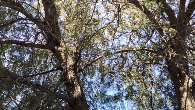 Один из дней города Евпатории  15 марта 2021 г  Крым  ХАН БАТОН  XAH 6ATOH  VID_20210315_135632