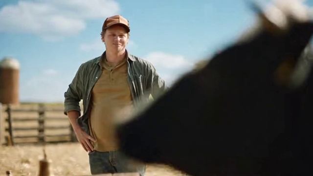 Что сеем: амарант или кукурузу?