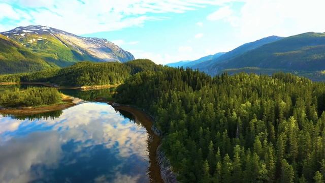 М.Пришвин Кладовая солнца 
глава 12