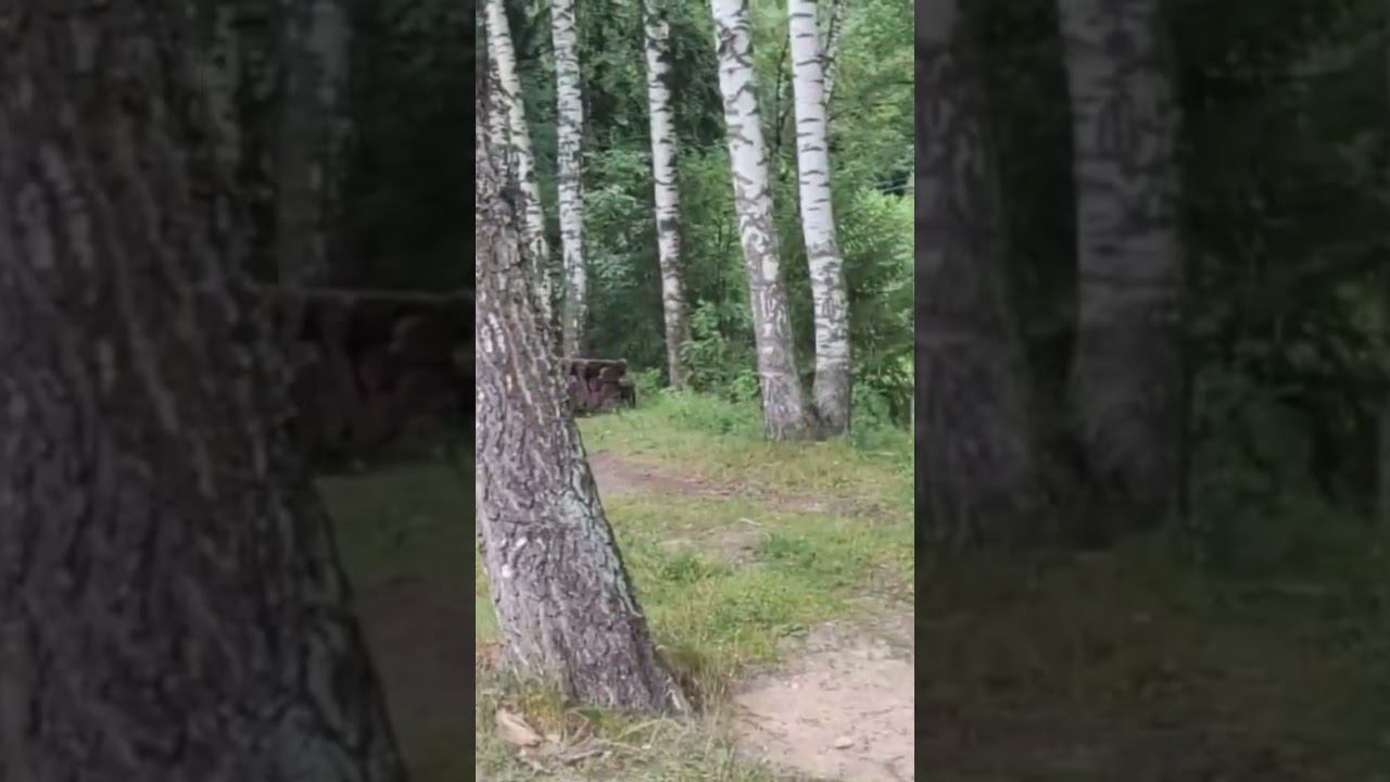 А вы были на родниках ? #родники #природа