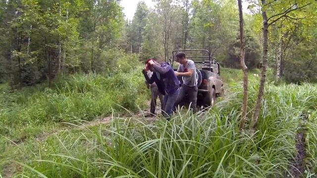 Покатушки в шереметьево