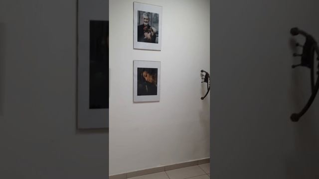 Фотовыставка Даши Сорокиной "Влюблённая в жизнь"