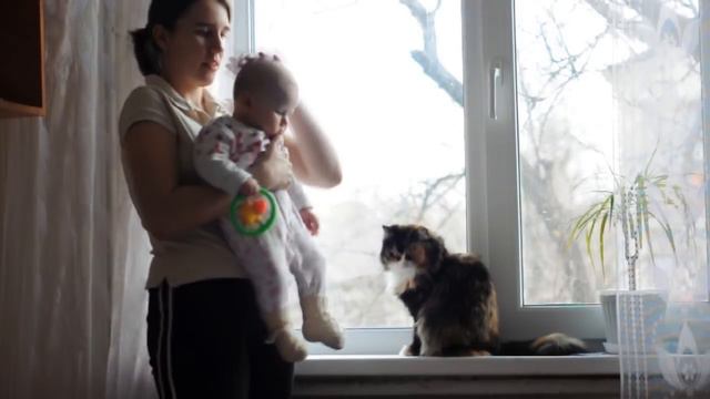 А может быть ворона :)