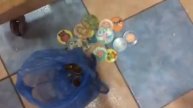 антиквариат покупки барахолки обзоры сувениры СССР