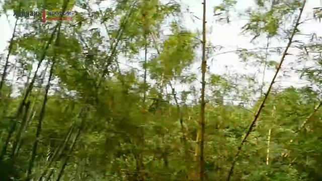Центр буддизма Няньшань Санья  Хайнань