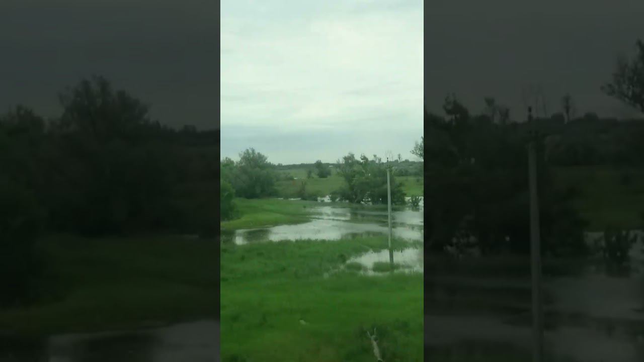 Красивые заливные луга поймы Волги и Астраханской области из окна поезда Волгоград Астрахань весной