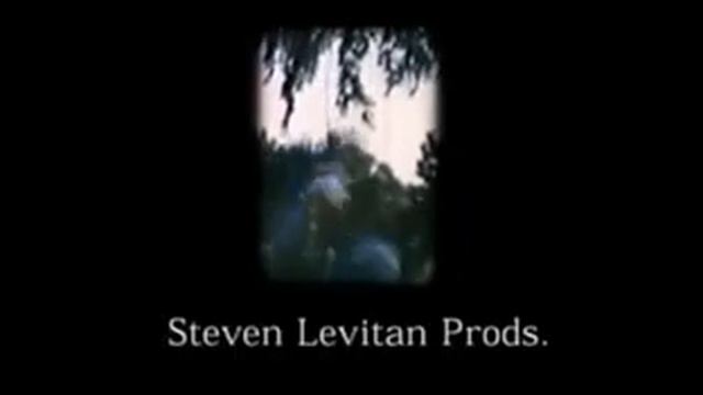 Brillstein-Grey Communications  Steven Levitan Prods.  Sony Pictures TV. International 19972003