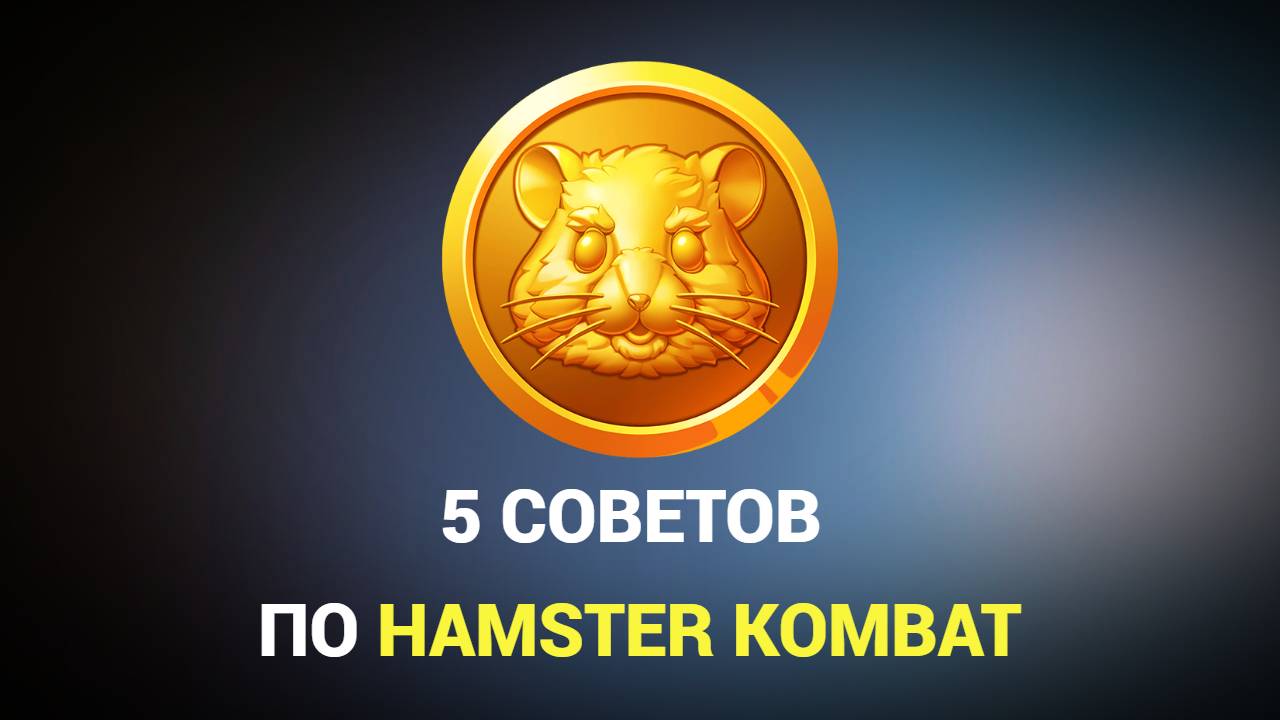 СОВЕТЫ ПО ПРОКАЧКЕ HAMSTER KOMBAT / КАК ЗАРАБОТАТЬ БОЛЬШЕ И НЕ ПОТЕРЯТЬ ТОКЕНЫ