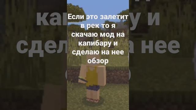 Если это залетит в рек то я скачаю мод на капибару и сделаю на нее обзор #говрек #майнкрафт #капиба