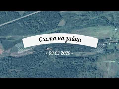 Охота на зайца 09.02.2020