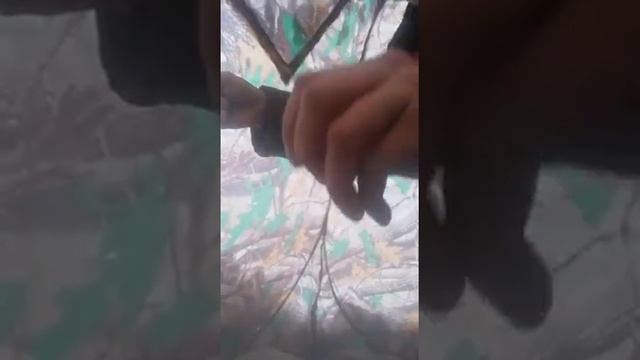 Зимняя рабалочка!Супер улов))