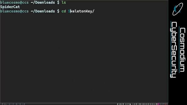 SpiderCat | Windows Reconnaissance Via Obsidian Webhooks