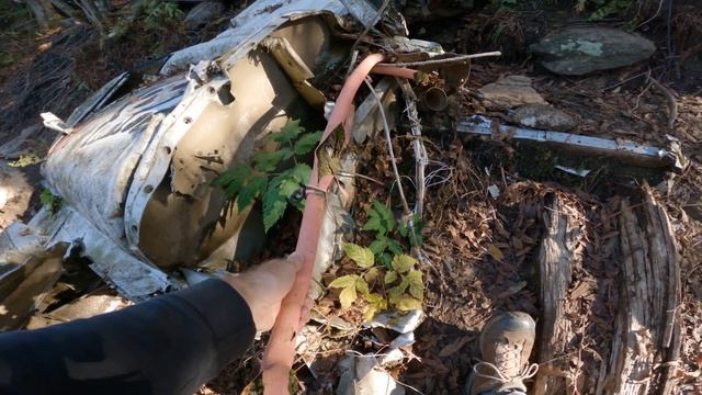 1988 Toyota Van | Browning Knob 1983 Cessna crash.
