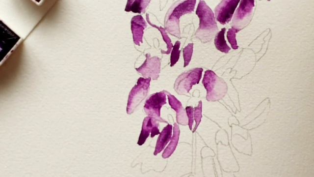 How to paint a  Wisteria floral watercolor tutorial